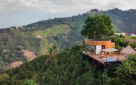 Atardeceres del Cafe